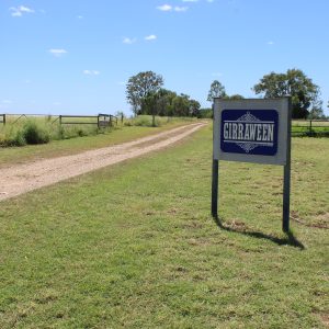 Sold – “Girraween”, Capella