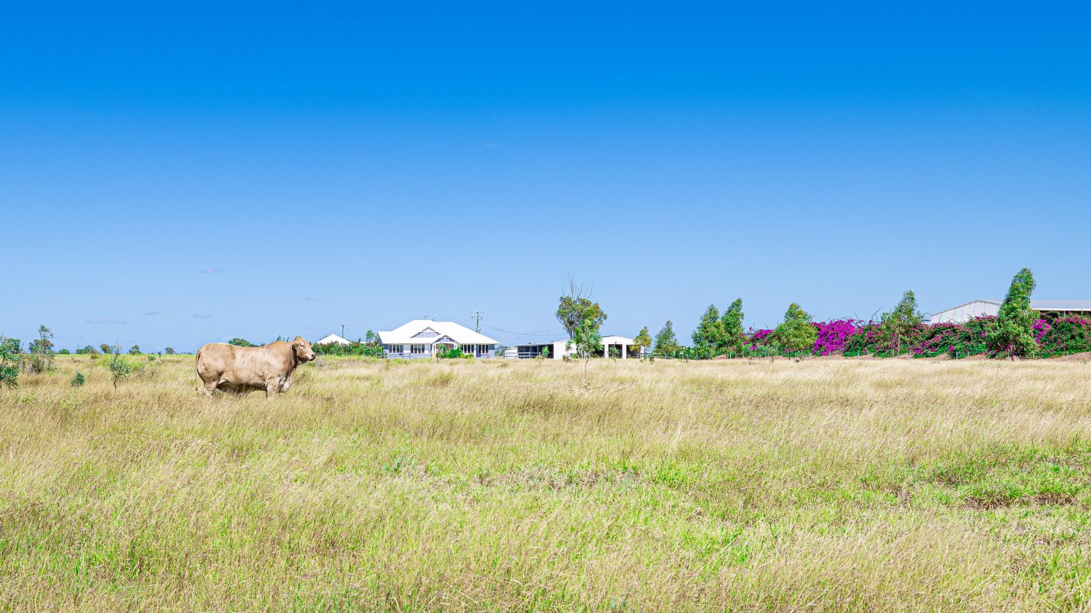 Rural Property for Sale RBV Rural, Emerald QLD Farms for Sale