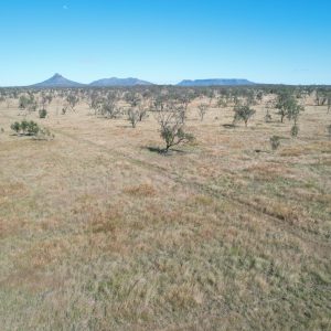 “Highland Plains” Dysart QLD