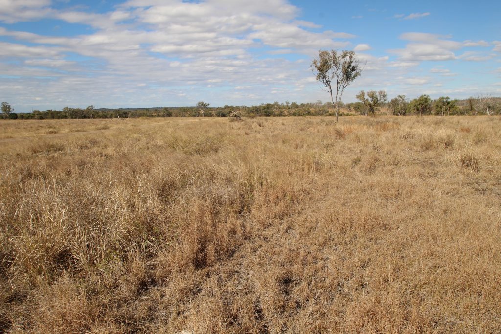 Rural Property for Sale RBV Rural, Emerald QLD Farms for Sale