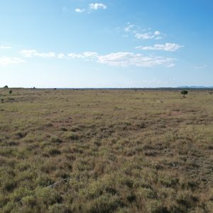 “Morpeth” Valkyrie QLD