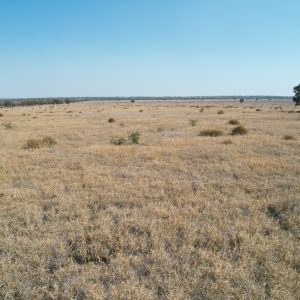 “Kulla” Comet, QLD