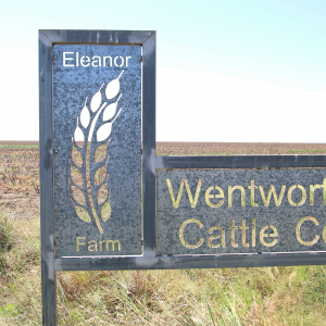 “Eleanor Farm” Clermont, QLD