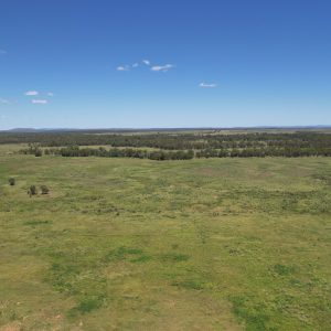 “Budgawillie” Willows, QLD