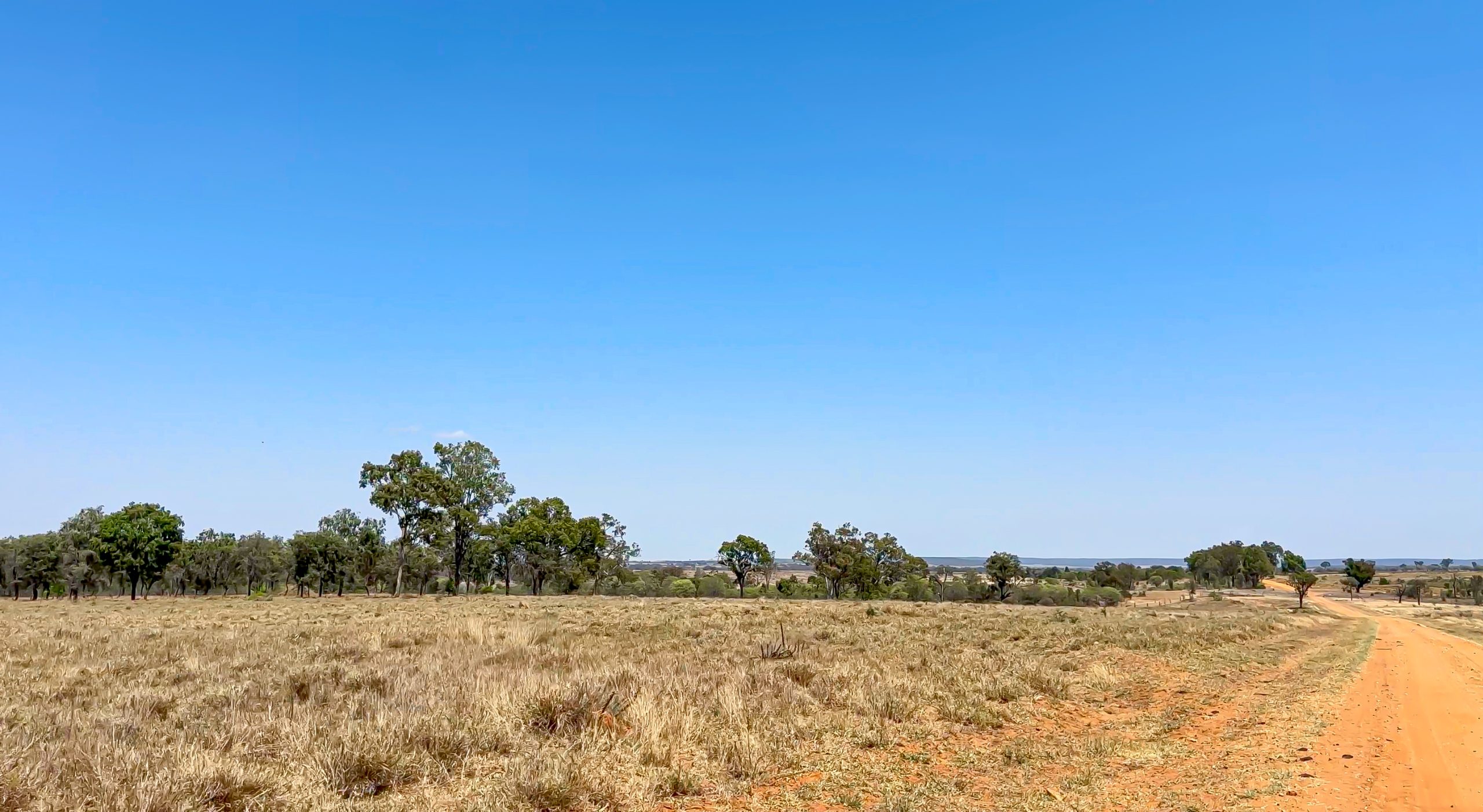 "Carnangarra" Comet, QLD - Image 6