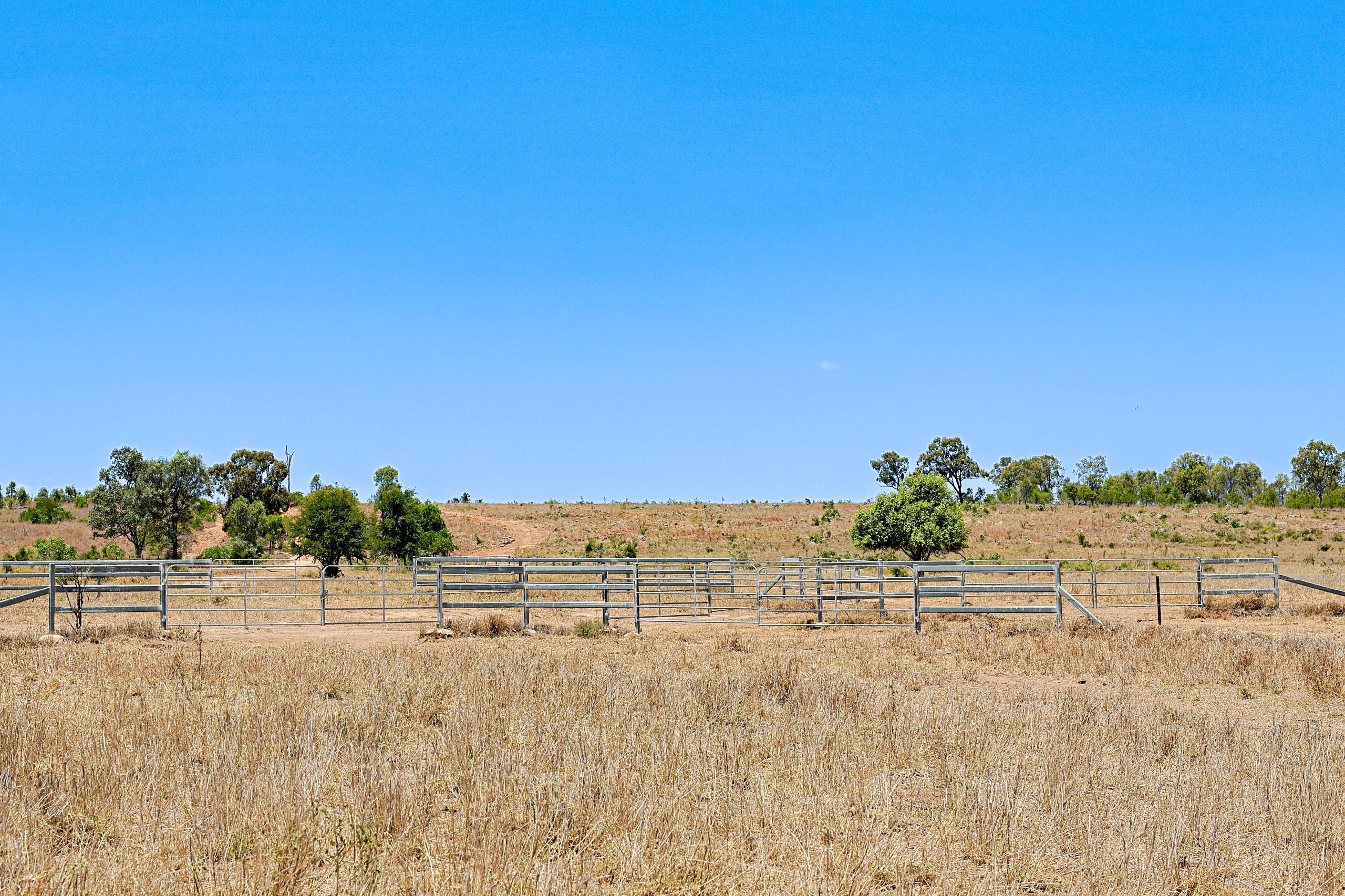 "Carnangarra" Comet, QLD - Image 12