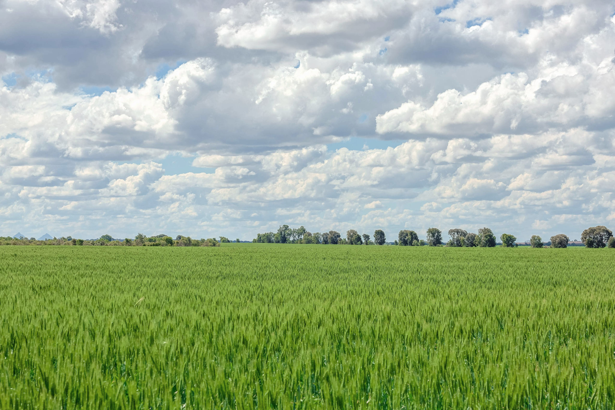 "Gordon Park" - Lot 57 Capella, QLD