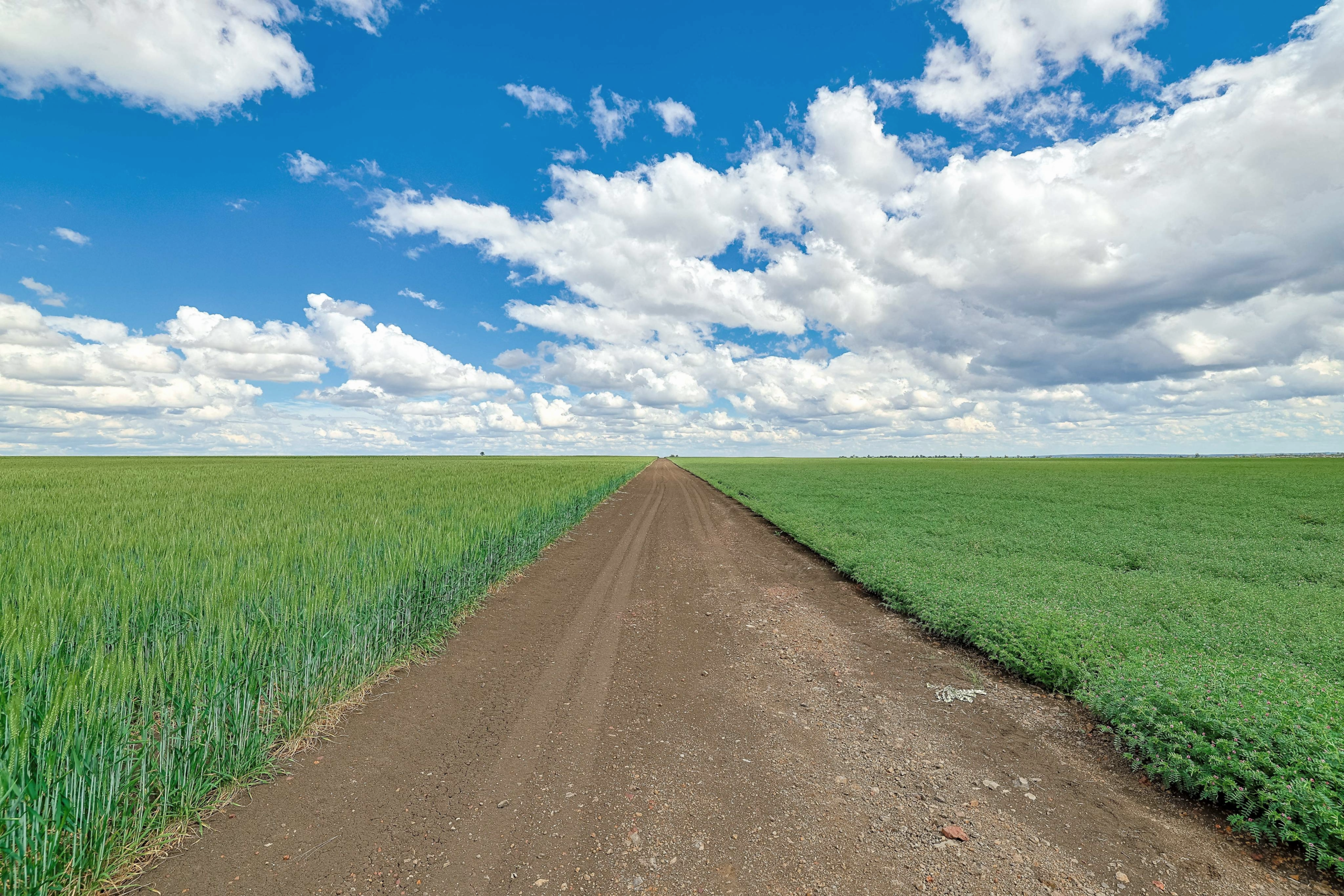 "Gordon Park" - Lot 57 Capella, QLD - Image 3