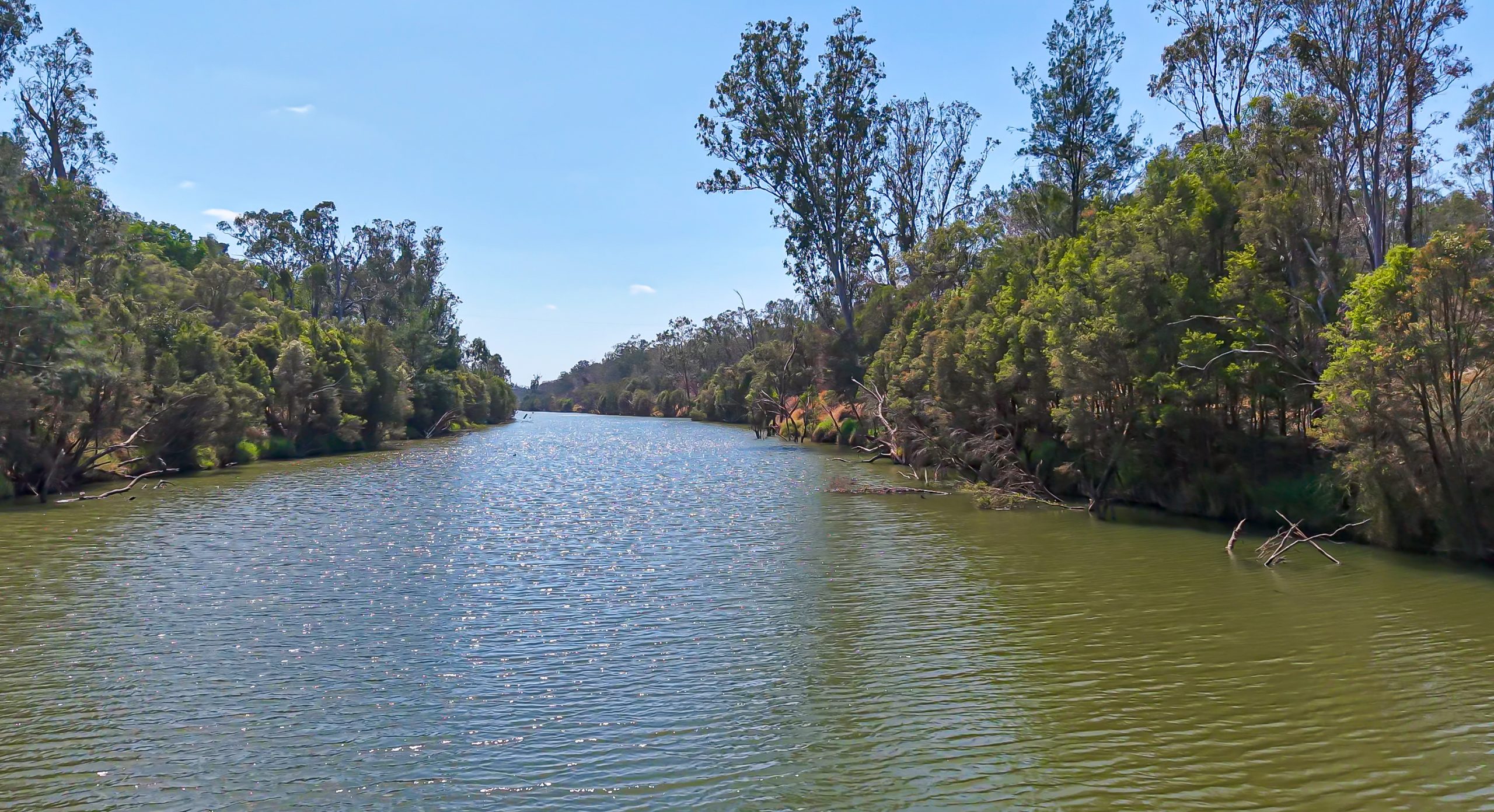 "Carnangarra" Comet, QLD - Image 22