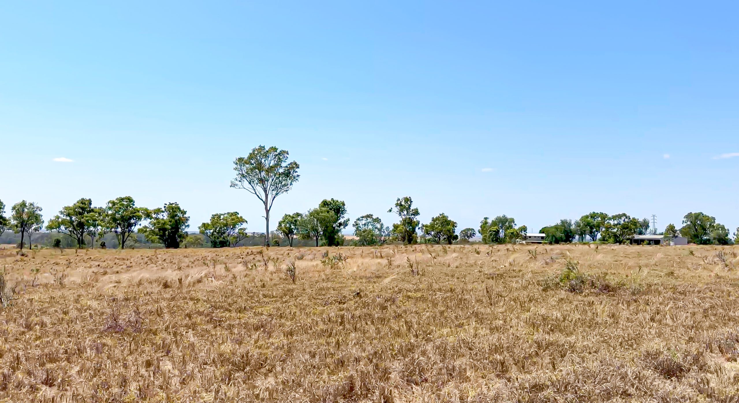 "Carnangarra" Comet, QLD - Image 19