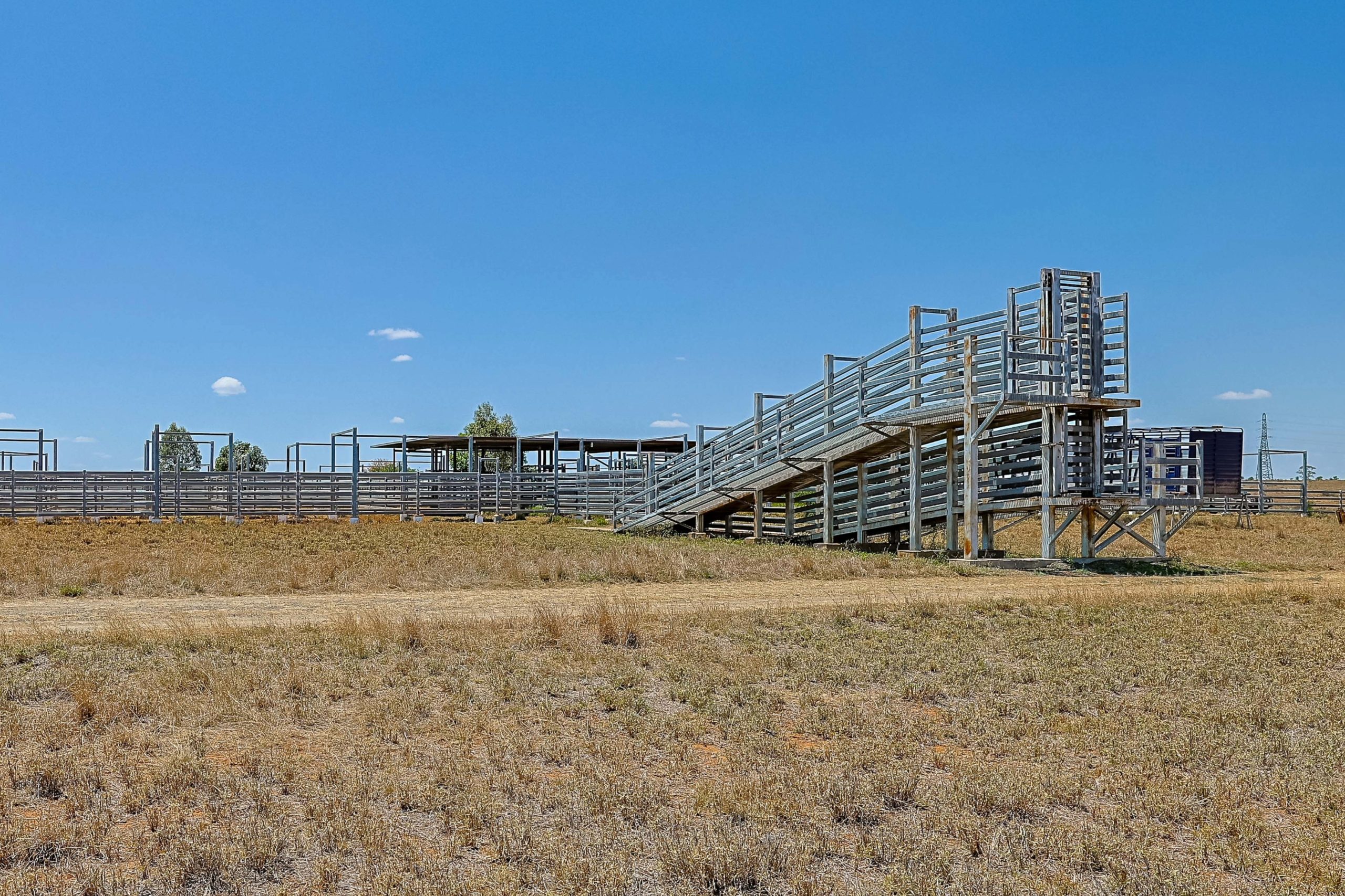 "Carnangarra" Comet, QLD - Image 32