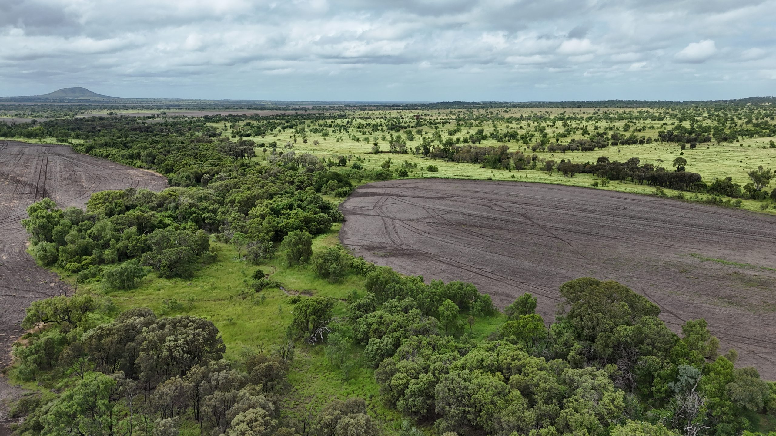 "Bluegrass Plains" - Image 5