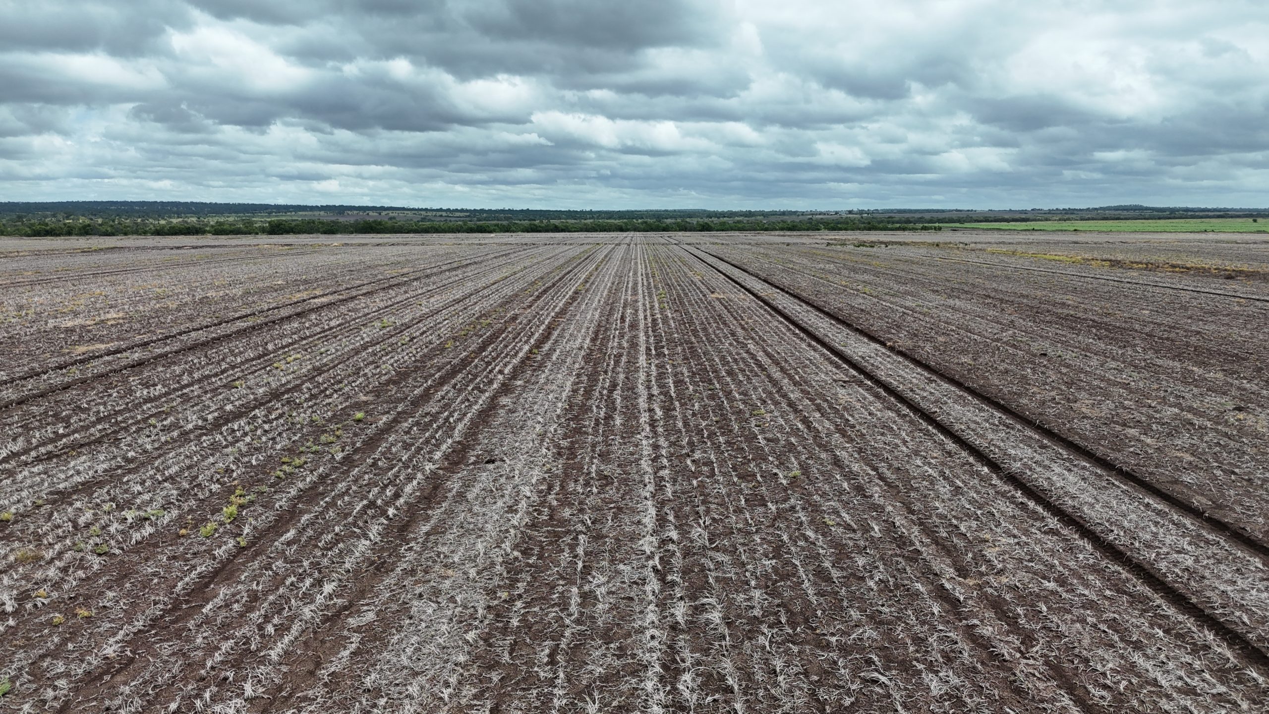 "Bluegrass Plains" - Image 2