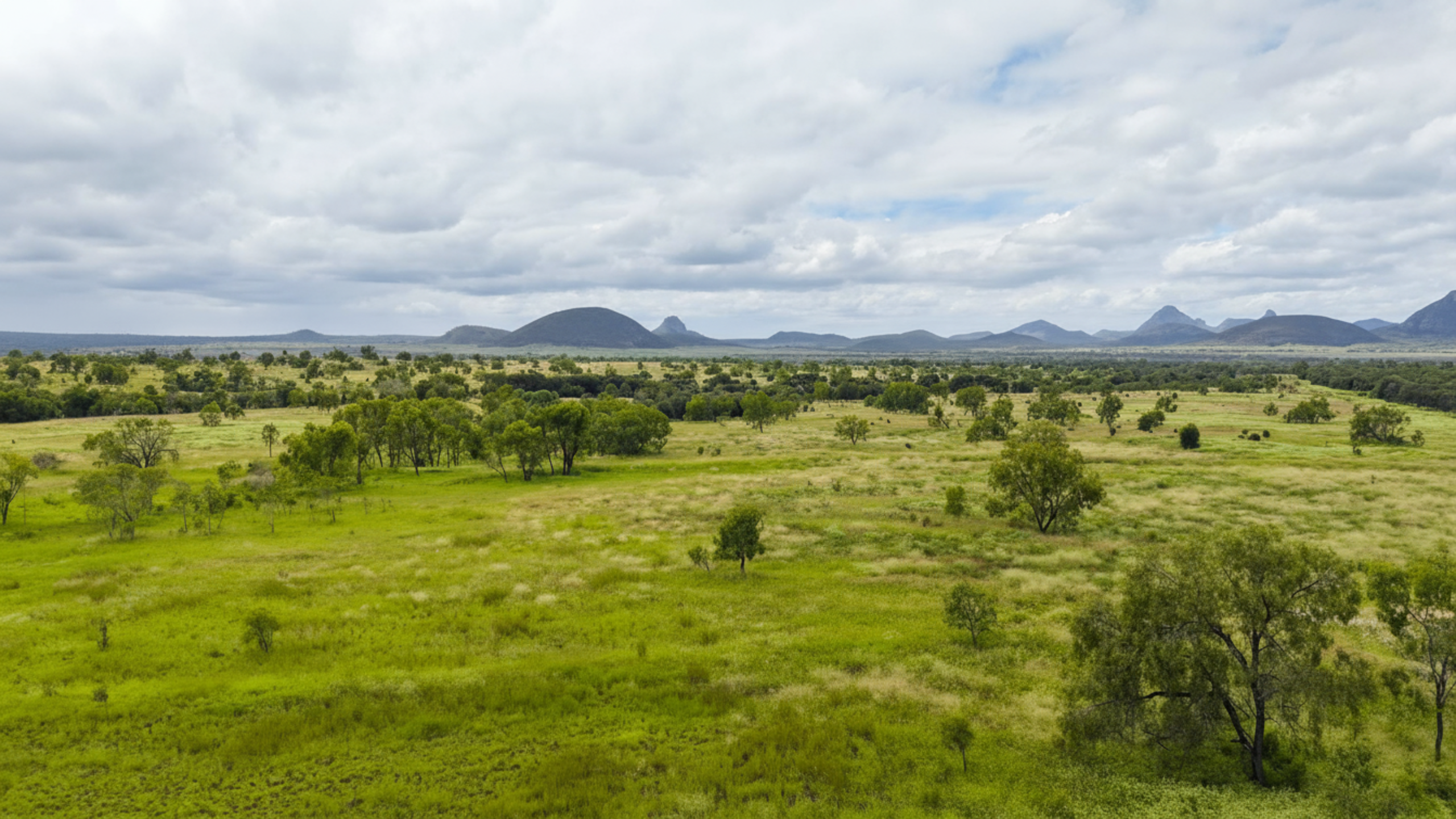 "Bluegrass Plains" - Image 9
