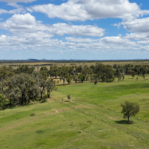 "Bagpipe"  Clermont, QLD